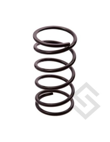Pg Espiral Del.p.404 P.up Diesel