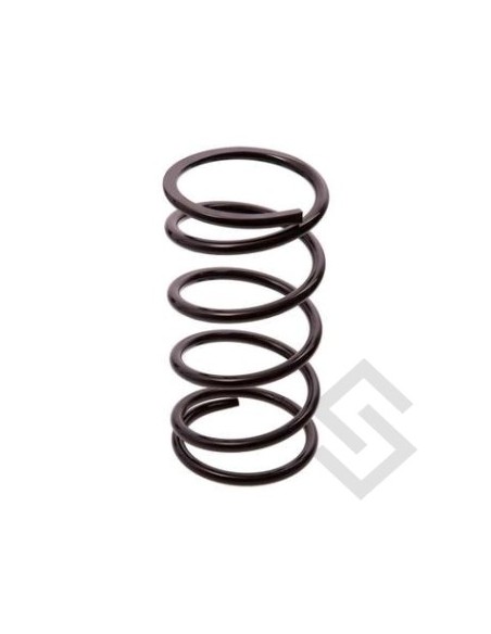 Pg Espiral Del.p.404 P.up Diesel