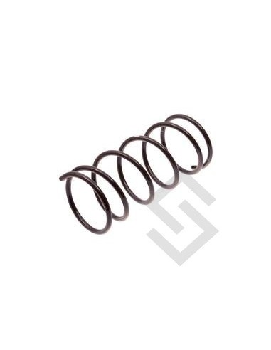 Pg Espiral Del.p.205 - Reforzado