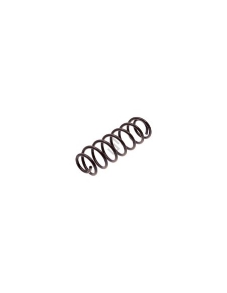 Vw Espiral Tras. Suran 12/...