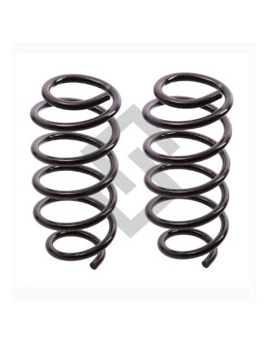 Rt Kit Susp. Tras. Megane Iii 11/...