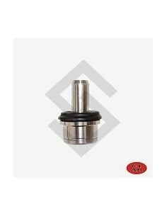 Fd Rotula Sup. F.150 - 2000/...