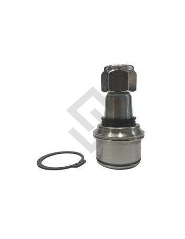 Fd Rotula Sup. F.4000 - 99/...