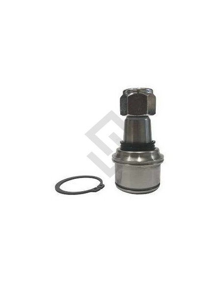 Fd Rotula Sup. F.4000 - 99/...