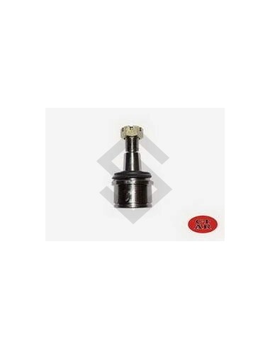 Fd Rotula Inf. F.100 Duty