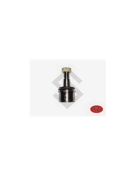 Fd Rotula Inf. F.100 Duty