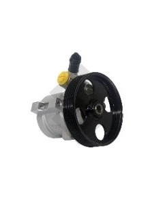 Pg Bomba Dir. Hidr. Partner/berlingo 1.9 Diesel - C/polea 6 Canales - 114mm