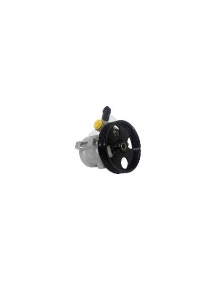 Pg Bomba Dir. Hidr. Partner/berlingo 1.9 Diesel - C/polea 6 Canales - 114mm