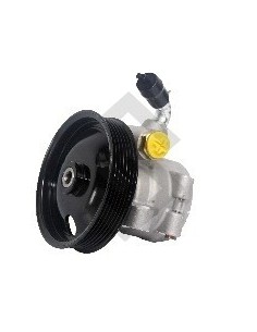 Fd Bomba Dir. Hidr. Ecosport / Fiesta 1.6 03/13 - C/polea 6canales - 118mm