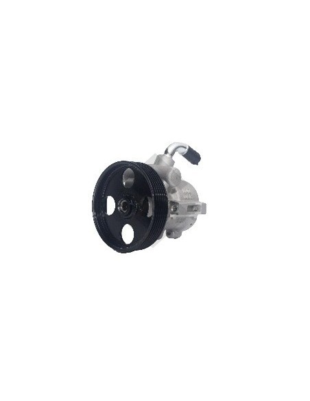 Pg Bomba Dir. Hidr. P.405 Diesel - C/polea 6canales - 114mm