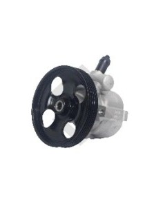 Pg Bomba Dir. Hidr. Partner/berlingo 1.4 Nafta - C/polea 5 Canales - 125mm