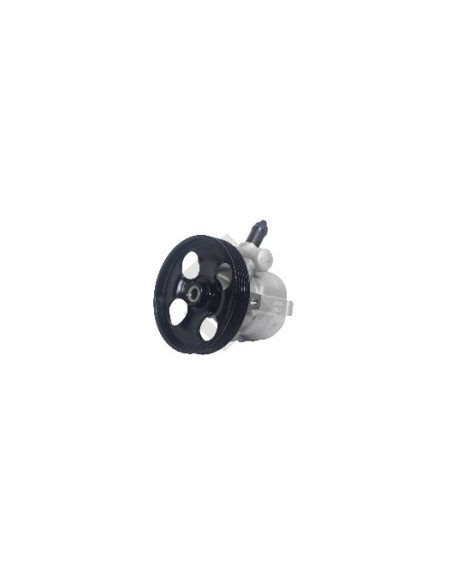 Pg Bomba Dir. Hidr. Partner/berlingo 1.4 Nafta - C/polea 5 Canales - 125mm
