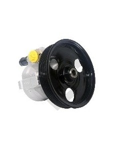 Rt Bomba Dir. Hidr. Logan/sandero 1.6 8v - C/polea 6 Canales - 126mm