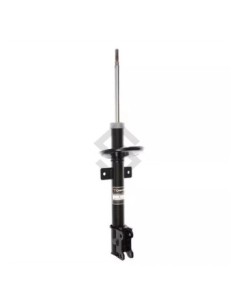 Rt Amort. Tras. Duster 4x4 11/...