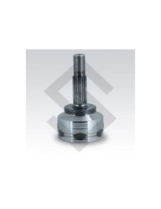 Rt Jta.homoc. Clio / Kangoo  (21/28)