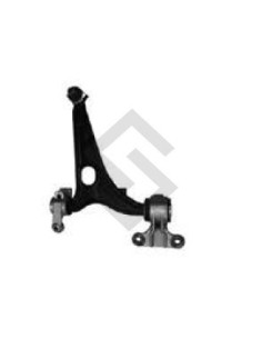 Pg P.807/expert 08/... Parr. Der. C/rotula