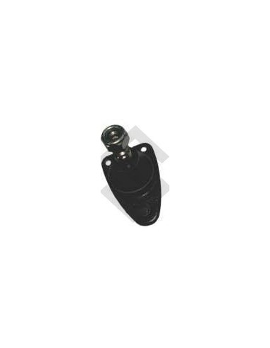 Rt Rotula Sup. R.18