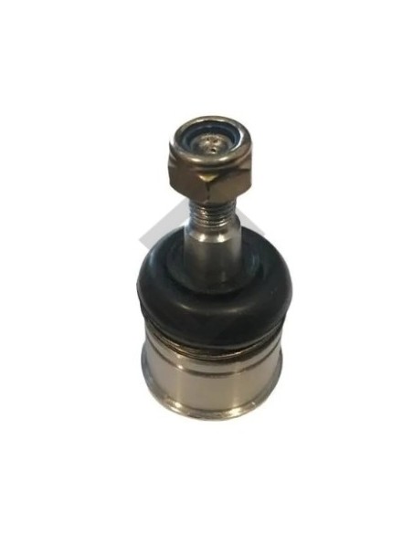 **im Rotula Inf. Honda Civic - 92/95