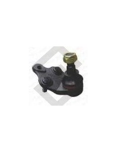 Im Rotula Inf. Toyota Corolla - 98/...