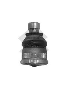 **rt Rotula Master - 97/...