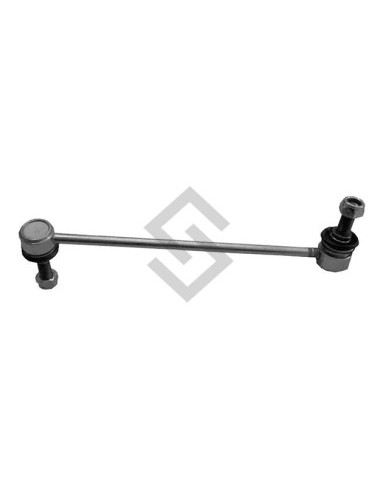 Im Bieleta Del. Der. Hyundai Santa Fe 01/06 - 263mm