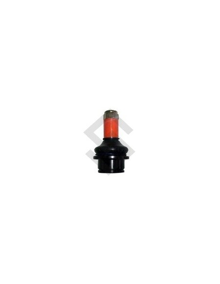Fd Rotula Inf. Ranger 4x2 / 4x4 - 98/... Transit 06/...