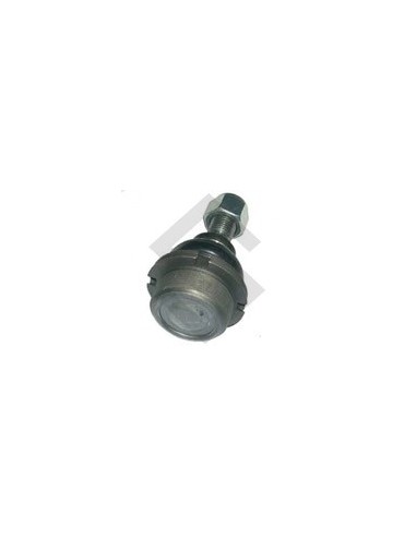 Pg Rotula P.307 11/... - 408 11/... - 3008 09/... -  C4 09/... - Rm 38x1.5