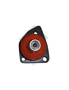 Rt Rotula Inf. Der. R.6 Todos