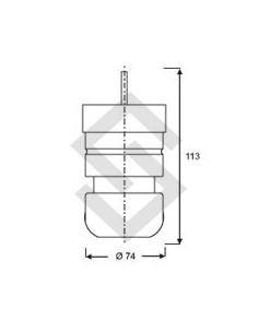 Ft Tope Susp. Tras. Fiorino