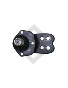 **fd Rotula Inf. Falcon 63/76