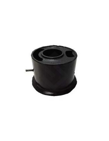 Fd Soporte Motor Tras. F.14000 - C/motor Mwm - L/caja