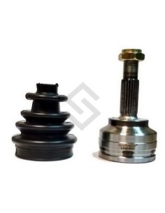 Rt Jta.homoc. Clio / Kangoo  (21/28)