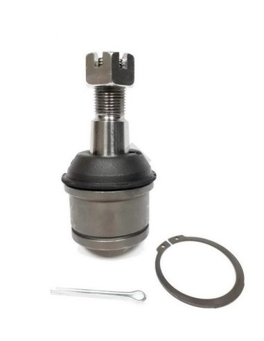 Fd Rotula Inf. F.100 - 2000/... / Super Duty 4x2