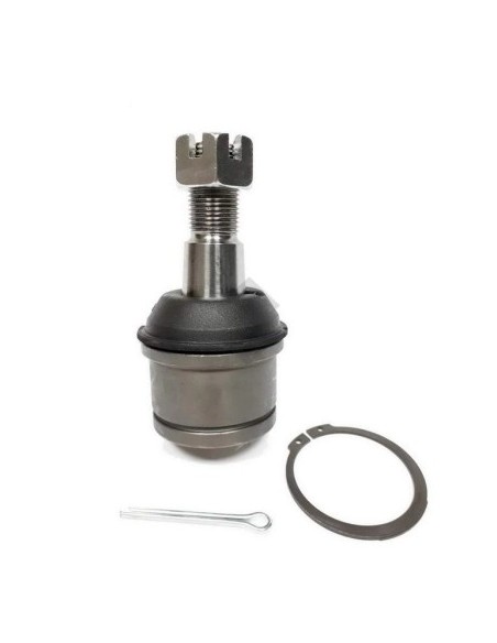 Fd Rotula Inf. F.100 - 2000/... / Super Duty 4x2
