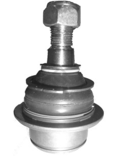 Fd Rotula Transit - 01/...