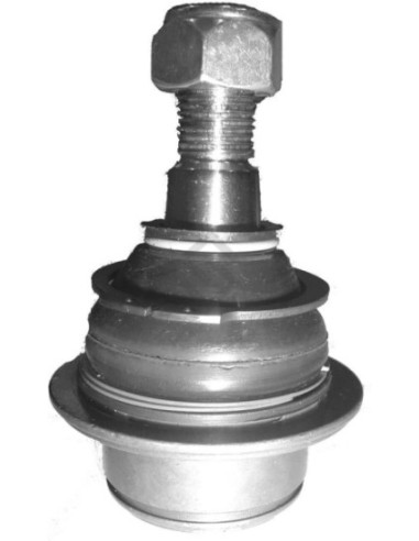 Fd Rotula Transit - 01/...