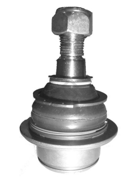 Fd Rotula Transit - 01/...