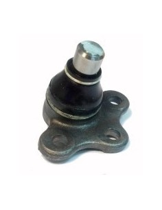 Ct Rotula Inf. C3 2002/...