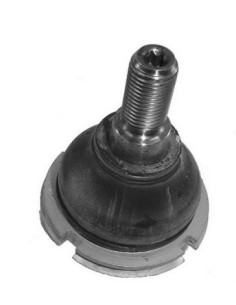 Pg Rotula Inf. P.407