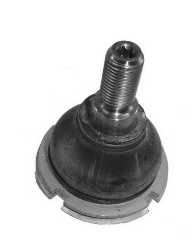 Pg Rotula Inf. P.407