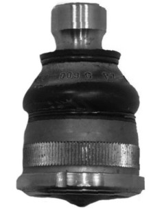 Rt Rotula Master - 97/...