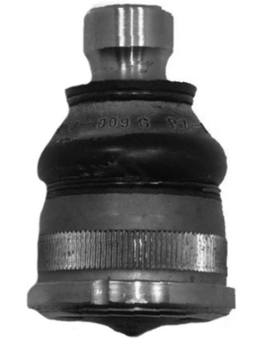 Rt Rotula Master - 97/...