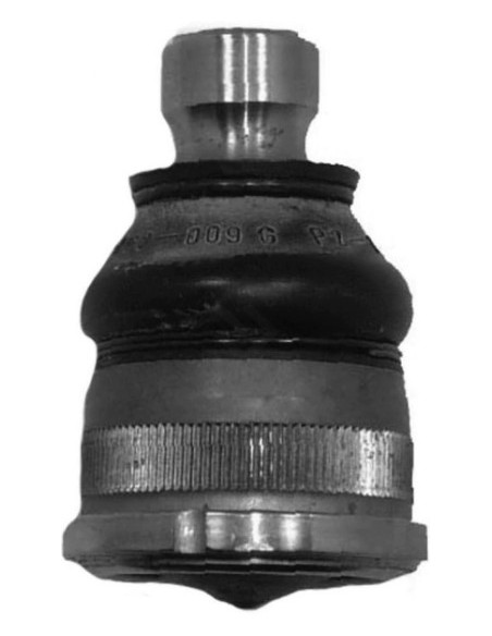 Rt Rotula Master - 97/...