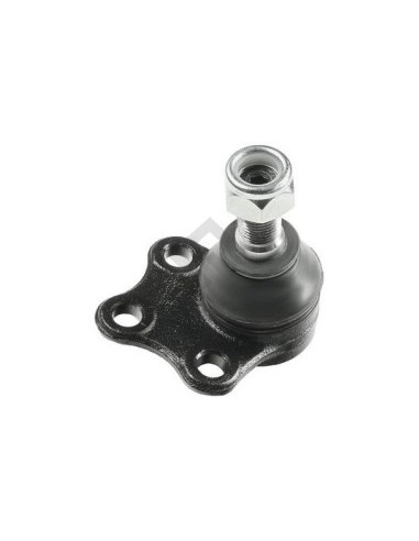 Rt Rotula Laguna Ii 02/...