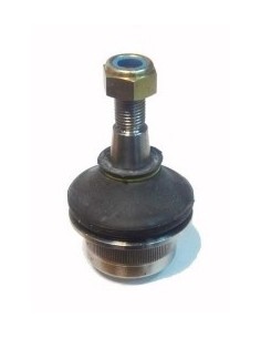 Rt Rotula Sup. Master