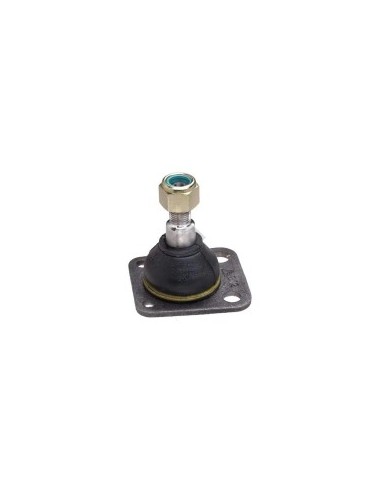 Rt Rotula Sup. R.12-