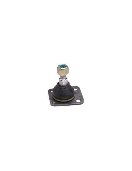 Rt Rotula Sup. R.12-