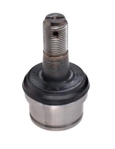 **fd Rotula Inf. F.1000.