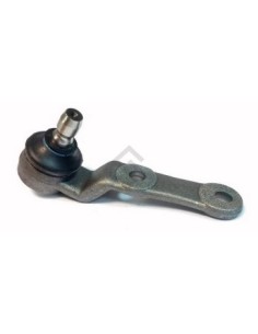 Ch Rotula Inf. Corsa - 06-98/...