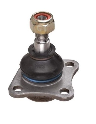 Ft Rotula Inf. Palio / Siena - 96/01